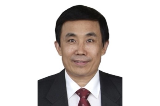 薛向东 副会长
