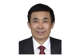 薛向东 副会长