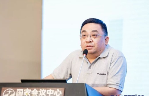 刘宁宁 副会长
