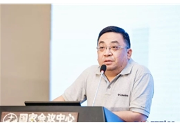 刘宁宁 副会长